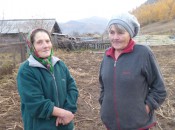 Джидинский район Уборка и реализация картофеля и овощей