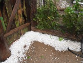 Капризы природы или наказание?